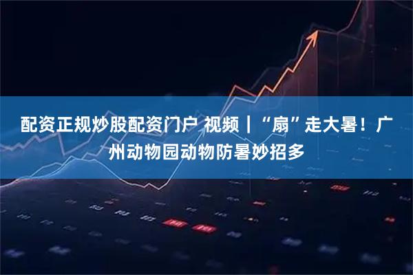 配资正规炒股配资门户 视频｜“扇”走大暑！广州动物园动物防暑妙招多