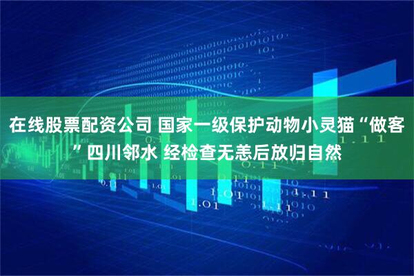 在线股票配资公司 国家一级保护动物小灵猫“做客”四川邻水 经检查无恙后放归自然
